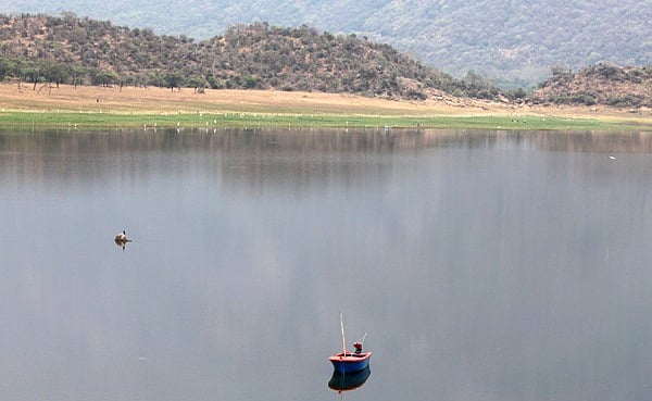 பாலாறு அணையில் மீன்திருட்டை தடுக்க மோட்டார்படகு